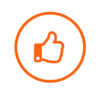 For your peace of mind, our services are fully insured, protecting you and your property throughout the project.